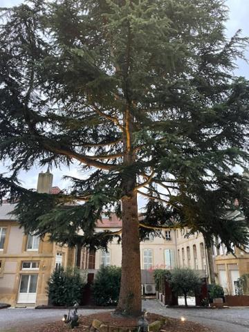La Cour De La Tresorerie Metz Ngoại thất bức ảnh